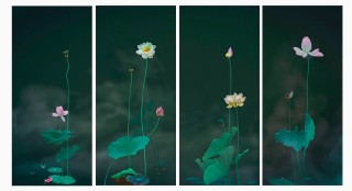 “中国梦 巾帼情” ｜ 宁夏第九届妇女摄影作品展