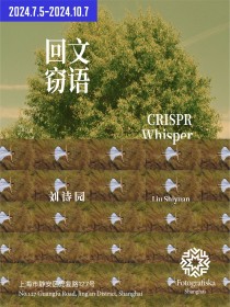 刘诗园：回文窃语｜从图像重建中寻找全新视觉语义