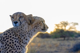 DXOMARK发布尼克尔 Z 70-200mm f／2.8 VR S镜头评测： 优秀光学表现 满足多种场景拍摄  ...