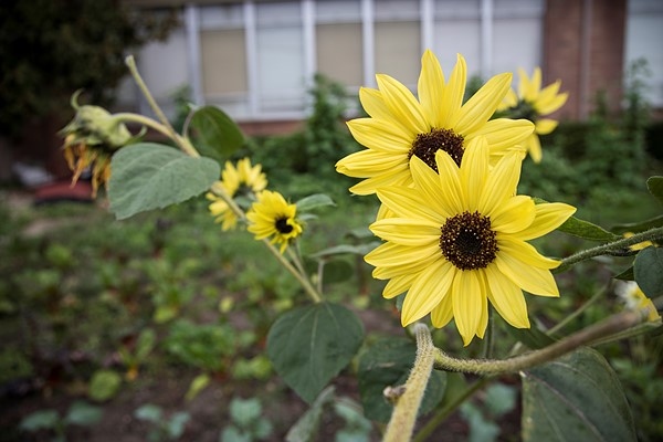 佳能RF24-105mm F4 L实拍样张  第12张