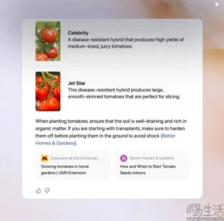 OpenAI突然公布SearchGPT，谷歌搜索大敌已至