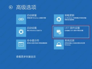 怎么查看本机是否支持TPM2.0？查看本机是否支持TPM2.0具体步骤