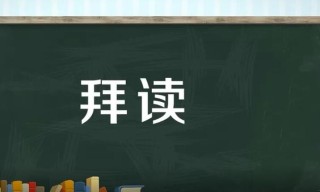 能否给出“拜读”的实例？