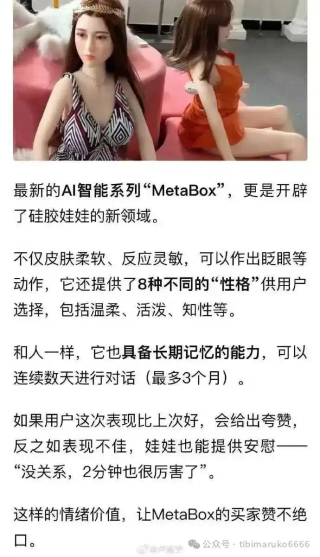 Ai陪伴调研整理（20250221）