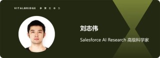 Salesforce AI Research 刘志伟：像Agent一样思考 - Agent Insights