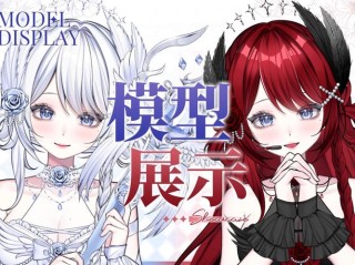 AnimePro FLUX – 动漫风格图像生成模型，基于Flux.1 Shnell模型微调