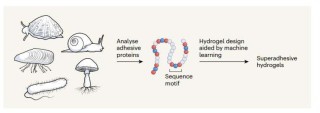 Nature最新封面：AI“造”水凝胶，粘连一切
