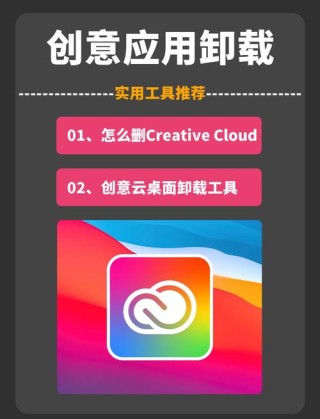 Adobe Flash Player是什么意思？Adobe Flash Player可以卸载吗？