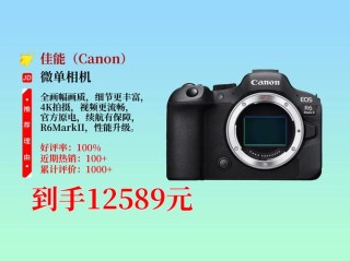 1月份销售榜：佳能EOS R6销量第一
