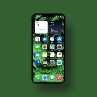 苹果或推出墨绿色iPhone13 你会买单吗