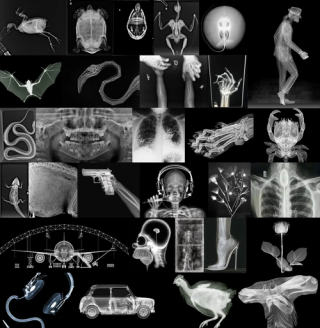 Half_illustration – 基于Flux.1 的LoRA模型，让照片秒变艺术大片