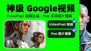 VideoPoet – 谷歌推出的AI视频生成模型