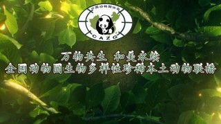 2025默得森生物
