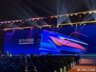 维信诺亮相2025中国国际显示产业高峰论坛