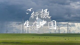 佳能“行摄生态中国”走进深圳湾