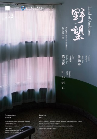 野望——陈荣辉个展