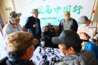EOS寻影康保 遇见中国最美遗鸥