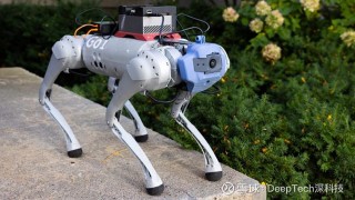 麻省理工学院推出新型机器人训练模型
