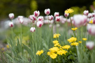 佳能RF 85mm F1.2L实拍样张欣赏