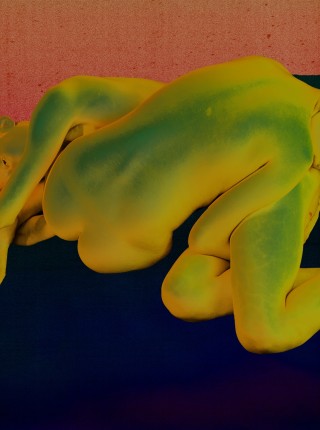 张吉祥个展——这个世界，与你无关