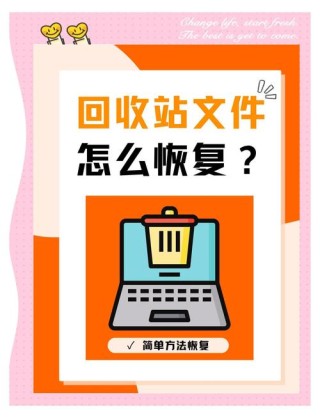 超实用！回收站清空的文件能恢复吗？回收站删除的文件怎么恢复？