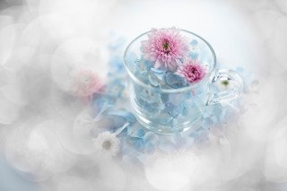 富士胶片推出富士龙XF50mmF1.0 R WR大光圈定焦镜头