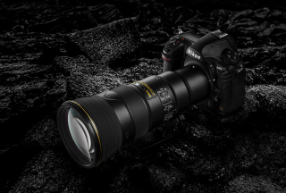 尼康AF-S 尼克尔 500mm f／5.6E官方实拍样张欣赏
