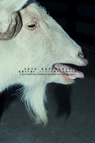 Place M 展览 ｜ The Taste of Emotion