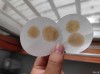 机油试纸靠谱吗，机油试纸怎么看图解