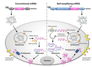 baidu09云顶新耀 mRNA 疫苗嘉善产业化基地投入生产运行，加速全产业链布局
