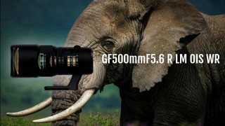 GFX系列超望远定焦镜头问世 “富士龙GF500mmF5.6 R LM OIS WR”