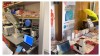 baidu09布局全新产品线，多宁生物与浚真生命科学达成细胞计数仪独家授权合作