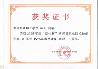 华为网络智能体NetMaster荣获2025 AI网络技术“智驱应用标杆奖”