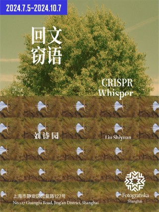 刘诗园：回文窃语｜从图像重建中寻找全新视觉语义