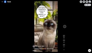 Reels支持翻译对口型，Meta短视频的“全村希望”正在靠AI突围