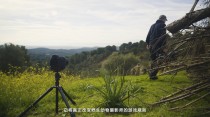 尼康Z 9  每时每刻定格精彩！