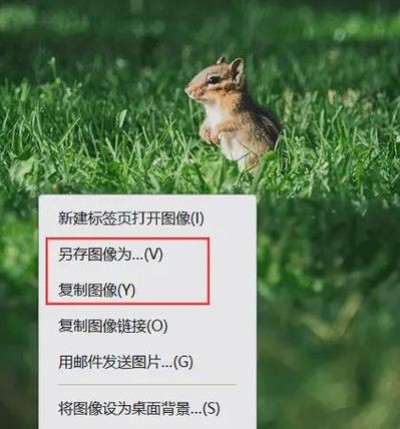 电脑中怎么将文字保存为长图片格式？