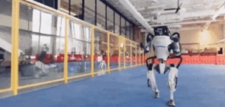 AI 机器人和人类互扇耳光，最后谁能赢？