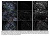 Pixel Reasoner – 滑铁卢联合港科大等高校推出的视觉语言模型