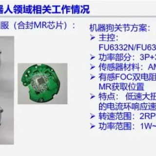 毕超博士：基于RISC-V的机器人电机控制芯片