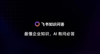 飞书知识问答，给企业如何用好 AI 打了个小样