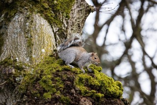 佳能RF 70-200mm F4L实拍样张欣赏