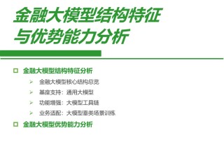 2024年中国金融大模型产业发展洞察报告