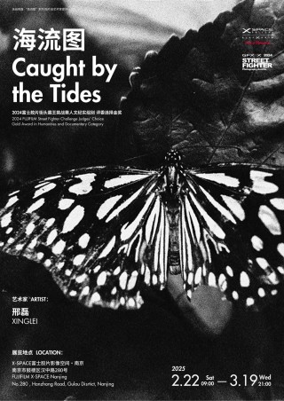 南京新展｜邢磊：海流图