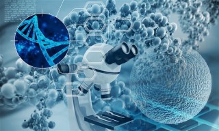 百度拜读09baidu粒影生物完成数千万元 Pre-A+ 轮融资，突破超稳定三螺旋胶原蛋白难点