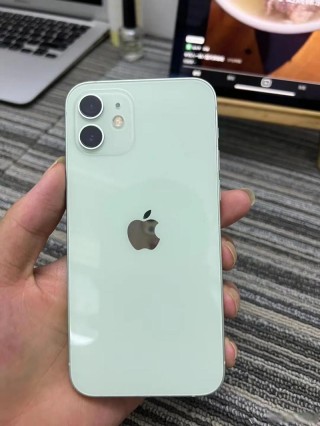 iPhone15及Plus新增青绿色