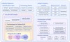 VideoJAM – Meta 推出增强视频生成模型运动连贯性的框架