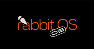 对话 Rabbit 创始人吕骋：做 AI Agent，向所有人开战