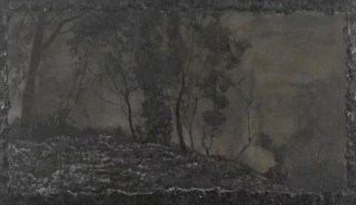 OFOTO&ANART 展览 ｜ 一棵树