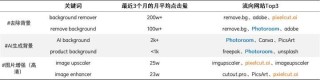 一个流量屡创新高月入千万、但惨遭“嫌弃”的AI赛道